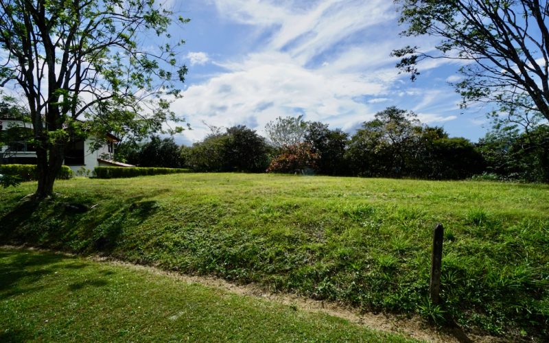 Grünes Baugrundstück in der Hacienda Los Reyes, umgeben von Bäumen und einem blauen Himmel in La Guacima.