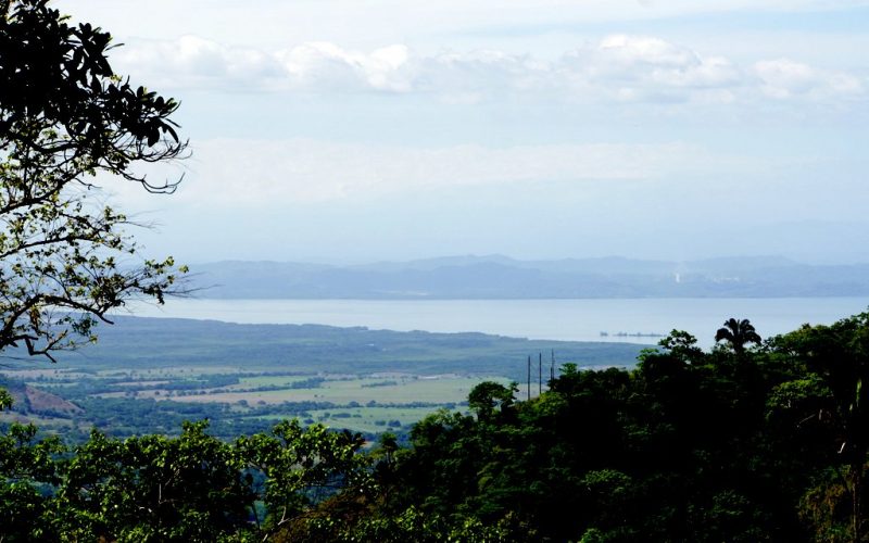 Blick auf eine grüne Landschaft mit Bäumen und einem See in der Ferne bei Carmona.