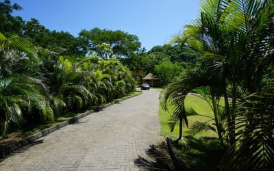 Wohnungen an der Playa San Miguel