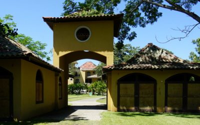 Wohnungen an der Playa San Miguel