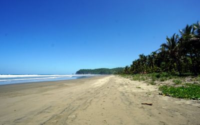 Wohnungen an der Playa San Miguel