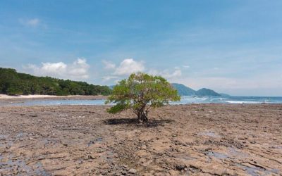 Boutique Hotel Tambor