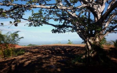 Grundstücke Herr Wulf