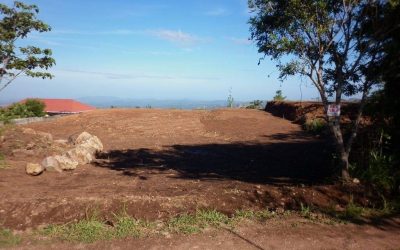 Grundstücke Herr Wulf