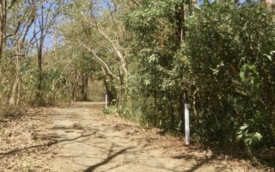 Grundstück Ostional