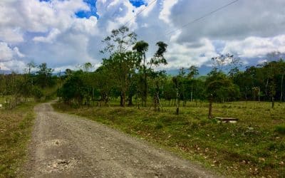 Finca Pocora de Guacimo