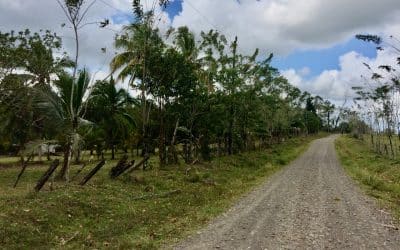 Finca Pocora de Guacimo