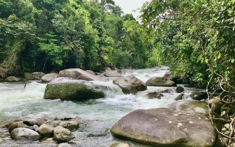 Fluss mit großen Felsen und üppiger Vegetation in Buenos Aires, Pazifik Süd, Costa Rica.