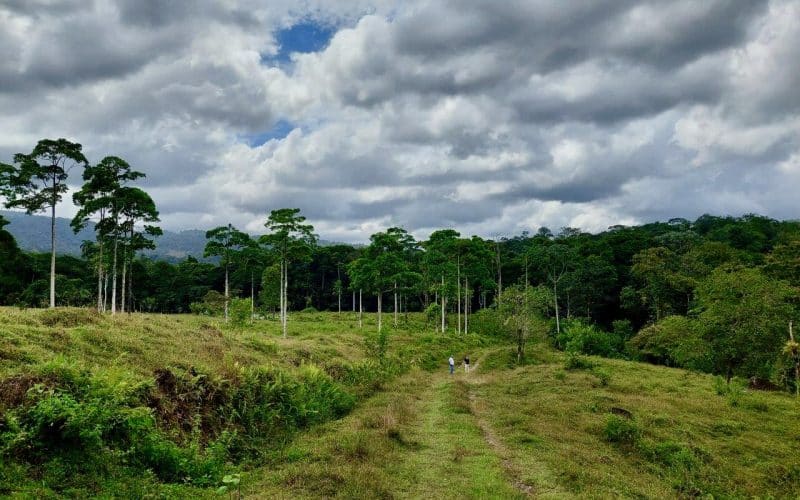 Finca on the “Rio Costa Rica” near Guapiles