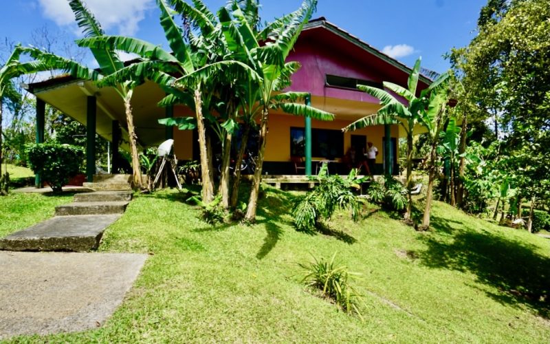 Paradise on the Rio Platanar