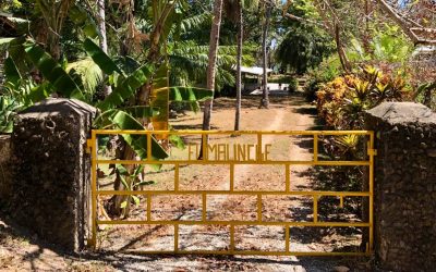 Gelbes Tor mit der Aufschrift 'El Malinche' vor einem Weg in Playa Tambor, umgeben von tropischer Vegetation.