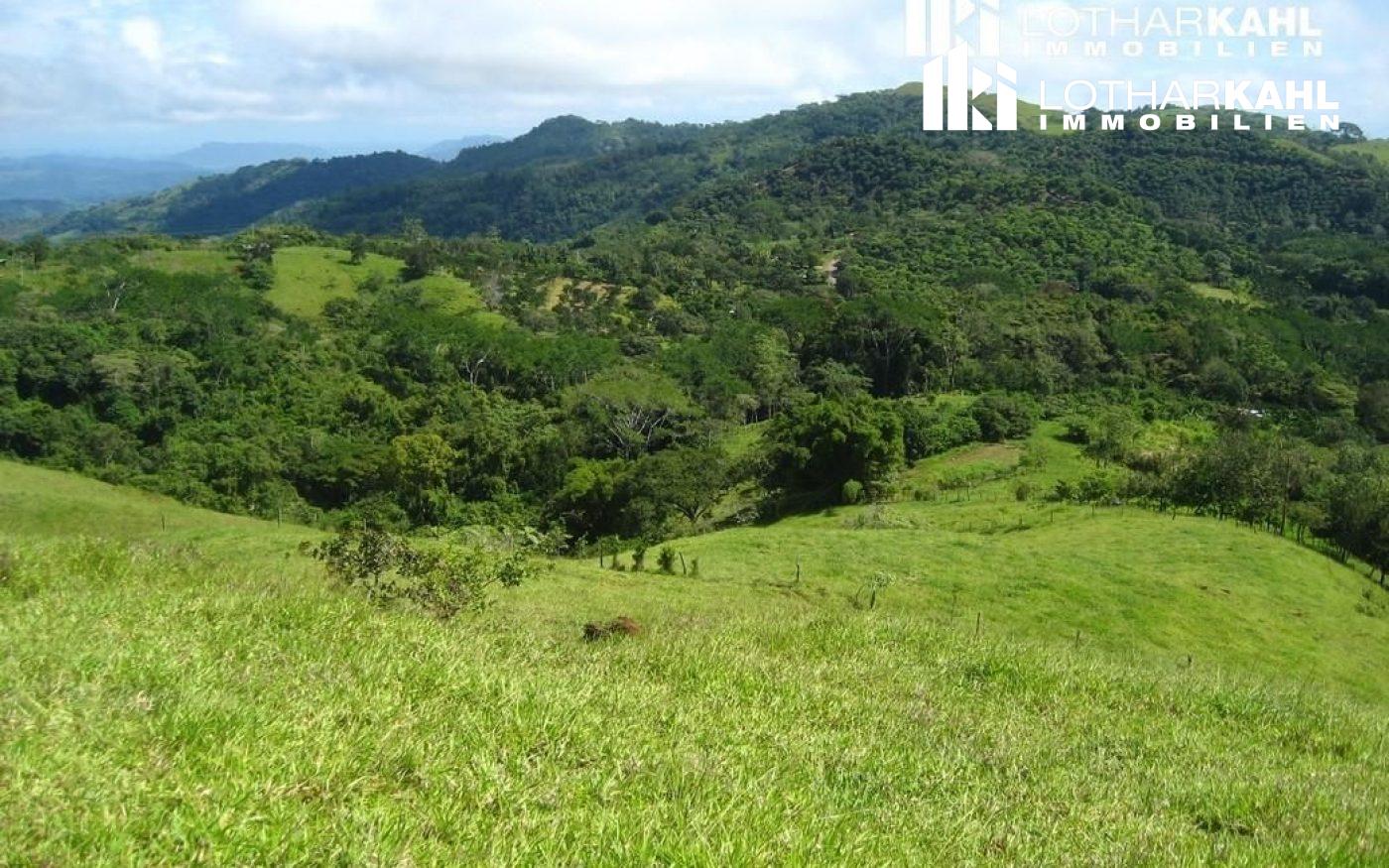 Grüne Hügel und Wälder bei Monte Romo in der Region Pazifik Mitte, Costa Rica.