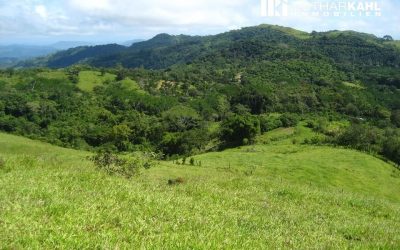 Grüne Hügel und Wälder bei Monte Romo in der Region Pazifik Mitte, Costa Rica.