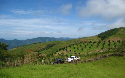 Grüne Hügel der Finca bei Monte Romo mit zwei geparkten Autos im Vordergrund.