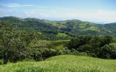 Grüne Hügel und Wälder in der Region Pazifik Mitte bei Monte Romo, Costa Rica.