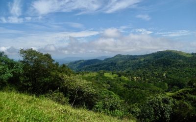 Grüne Hügel und dichte Vegetation bei Monte Romo unter blauem Himmel mit Wolken.