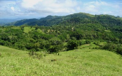 Grüne Hügel und Wälder der 8 Hektar Finca bei Monte Romo, Pazifik Mitte, unter blauem Himmel.