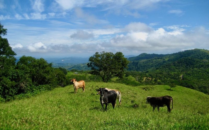 8 Hektar Finca bei Monte Romo-Hojancha