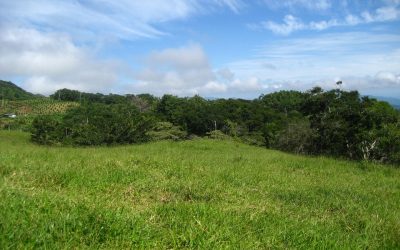 Grüne Wiesen und Wälder auf einer Finca bei Monte Romo, Pazifik Mitte.