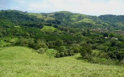 Grüne Hügellandschaft bei Monte Romo mit üppiger Vegetation und vereinzelten Häusern.