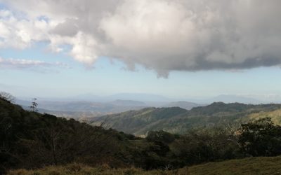 Blick über hügelige Landschaft mit bewaldeten Flächen und Wolken bei Monte Romo, Pazifik Mitte.