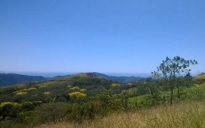 Hügelige Landschaft mit Bäumen und Blick auf das Meer in Hojancha, Pazifik Mitte.
