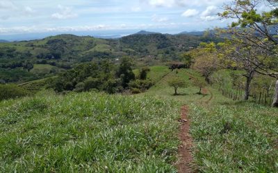 Grüne Hügel und Bäume in der Landschaft von Monte Romo, Pazifik Mitte, Costa Rica.