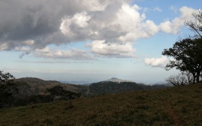Hügelige Landschaft mit Wolken und Bäumen bei Monte Romo, Pazifik Mitte.
