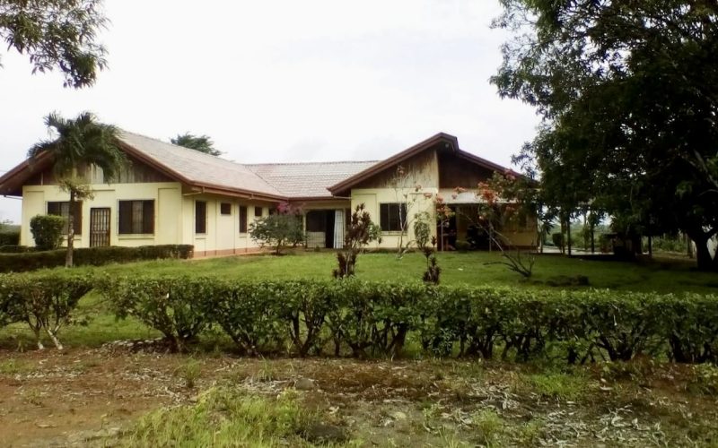 Grosser Bauernhof in Jobo de Los Chiles